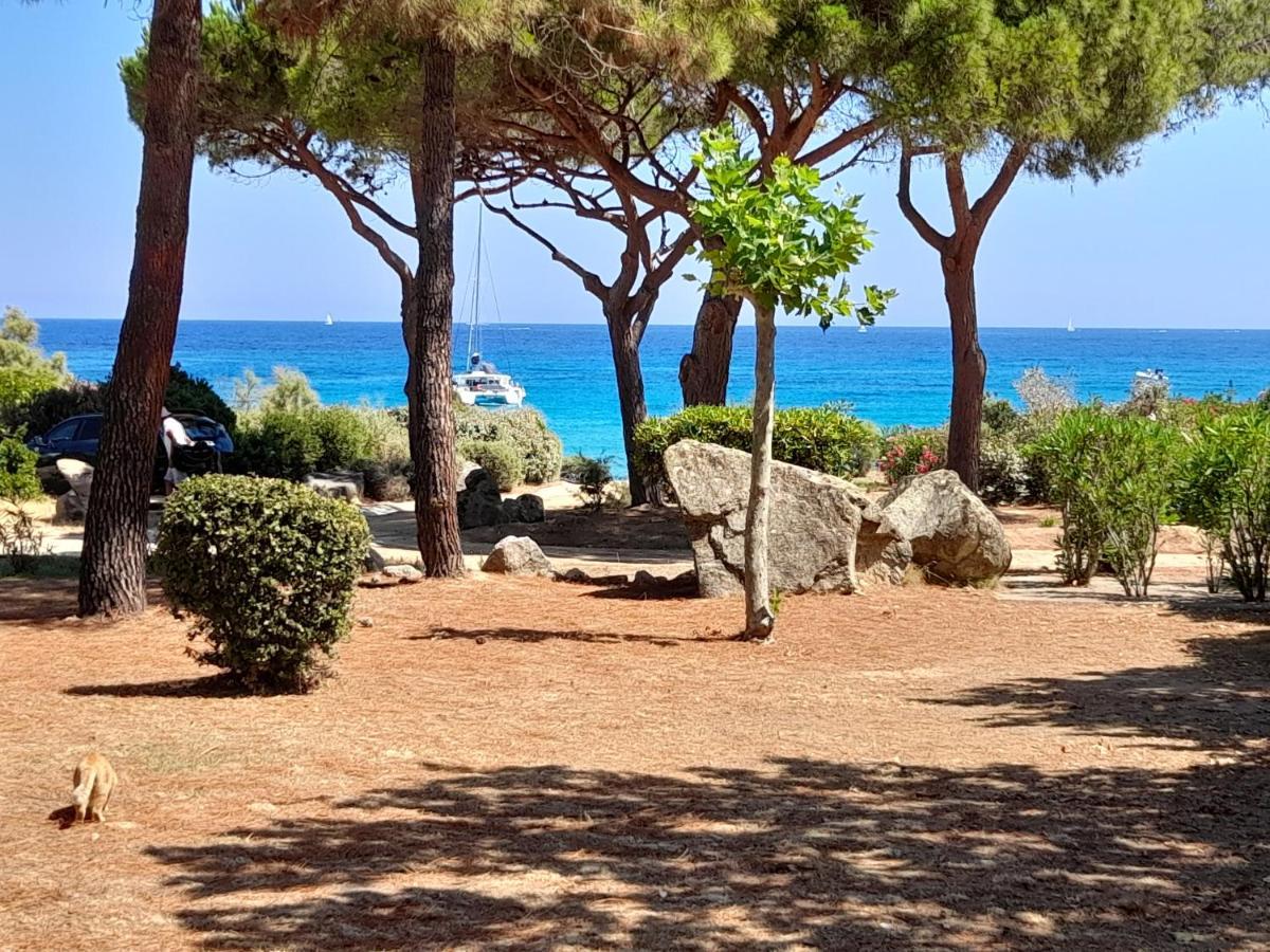 Appartamento Chez Bea Lumio  Esterno foto